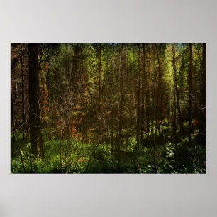 Deep Siberia 2 Poster