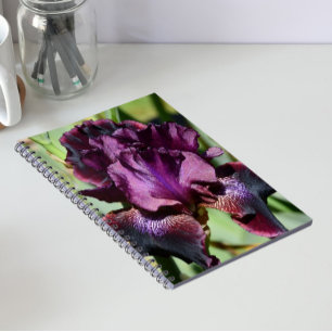 Deep Violet Iris Bloom Floral Notebook
