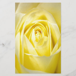Deep Yellow Rose Stationery