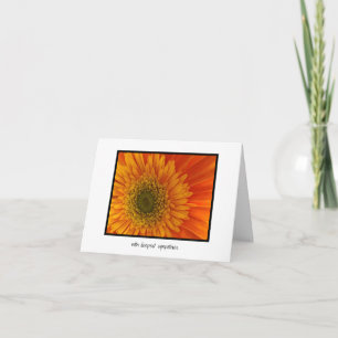 Deepest Sympathies Vibrant Orange Gerbera Daisy Card