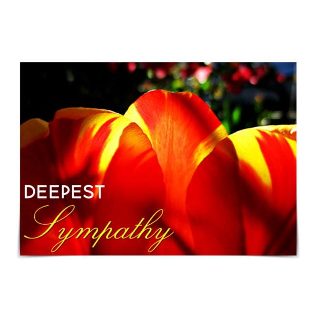 "Deepest Sympathy" Glowing Tulip Card (Creator Uploaded)