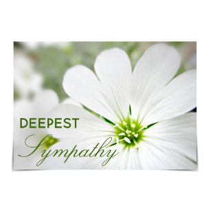 "Deepest Sympathy" Snow-in-Summer Floral Card