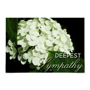 "Deepest Sympathy" White Hydrangea Card