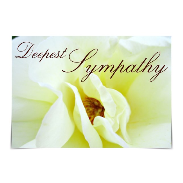 "Deepest Sympathy" White Rugosa Rose Card (Creator Uploaded)