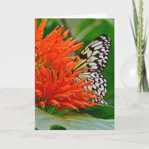 Deepest Sympathy with Butterfly Card