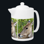 DEER<br><div class="desc">A photographic design of the head of a beautiful deer.</div>