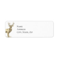 Deer