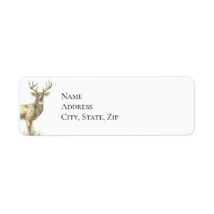 Deer