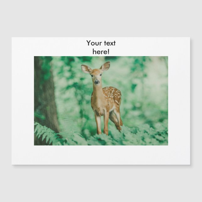 Deer (Front)