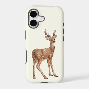 Deer