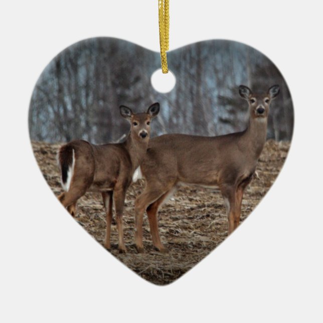 Deer_0337v Ceramic Ornament (Front)