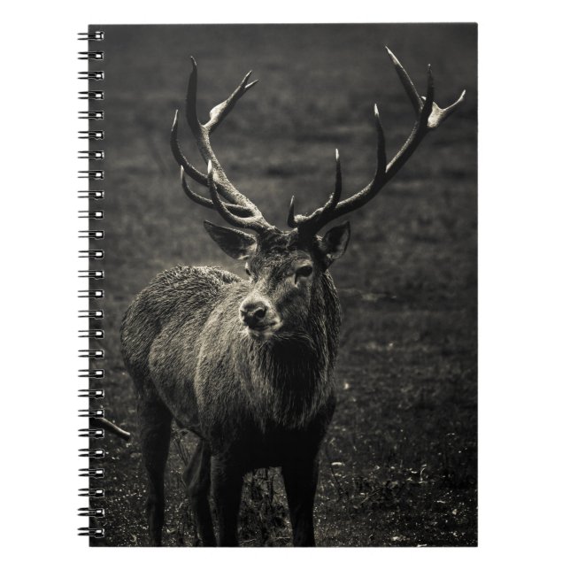 DEER 12 POINT BUCK NOTEBOOK (Front)