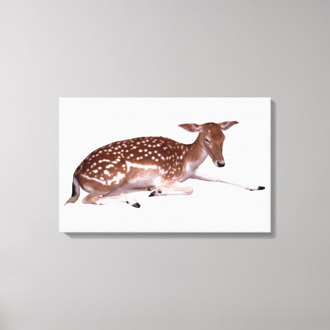 deer 2 canvas print (Front)