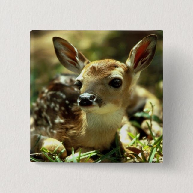 Deer 2 Inch Square Button (Front)