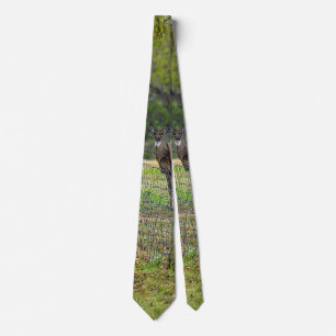 Deer And A Squirrel Painterly Neck Tie