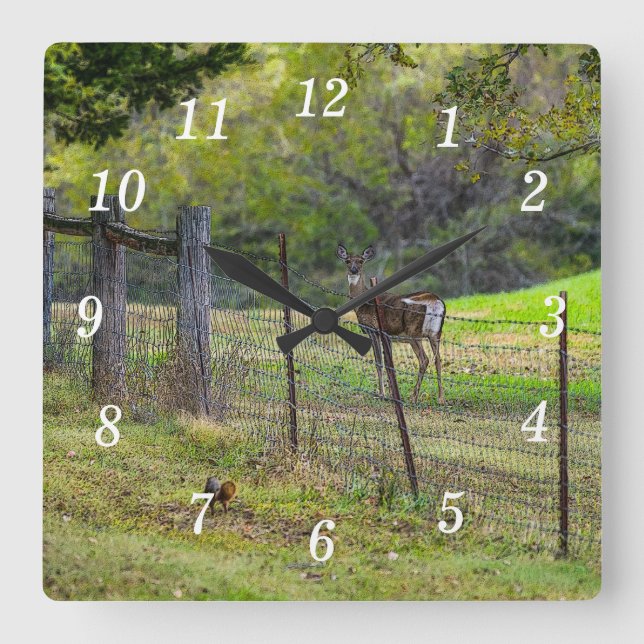 Deer And A Squirrel Painterly Wall Clock (Front)