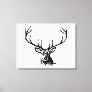 Deer Animal Antlers Nature Wildlife Horns Head Pos Canvas Print