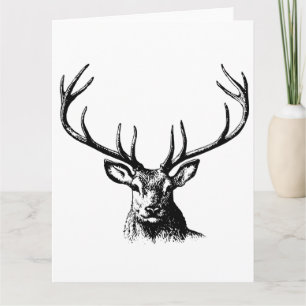 Deer Animal Antlers Nature Wildlife Horns Head Pos Card