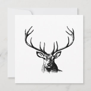 Deer Animal Antlers Nature Wildlife Horns Head Pos Card