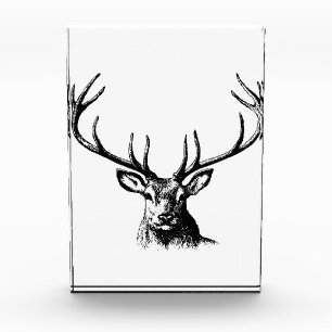 Deer Animal Antlers Nature Wildlife Horns Head Pos Photo Block