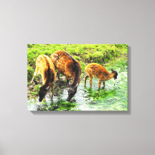 Deer animal canvas print