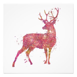 Deer Animal Forest Wild Wildlife Nature World Eart Photo Print