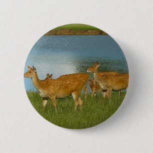 Deer Animal Nature Peace Love Destiny Fun Art 2 Inch Round Button