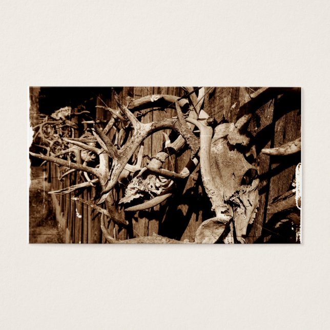 Deer Antlers (Front)