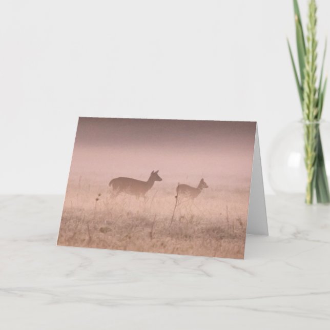 Deer at Dawn Card (Front)