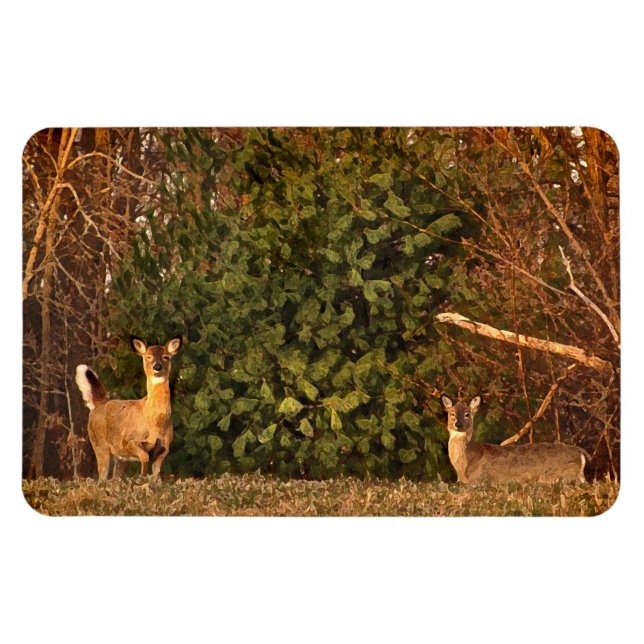 Deer at Sunrise Magnet (Horizontal)