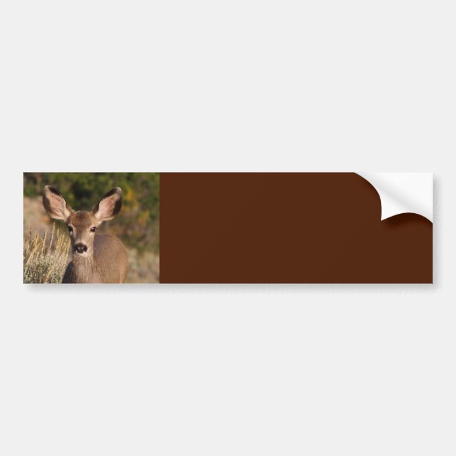 Deer Background Bumper Sticker (Front)