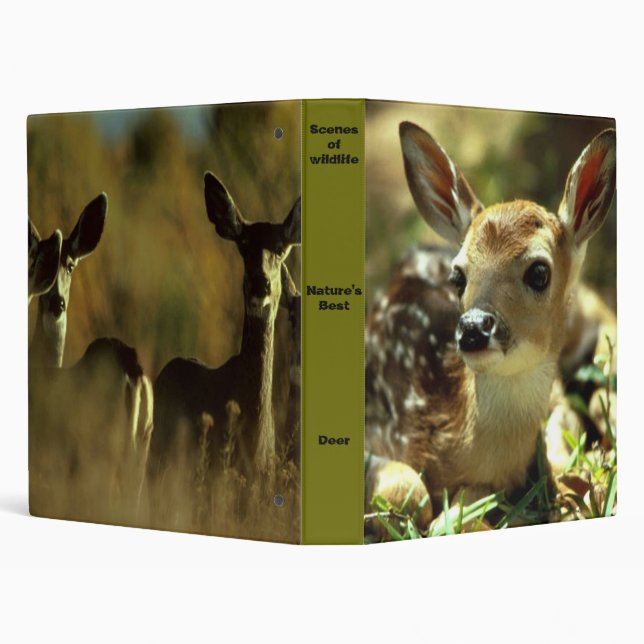 Deer binder (Background)