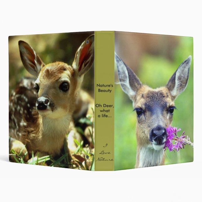 Deer Binder (Background)