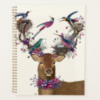 Deer Birdkeeper, Tropical Bird Nests