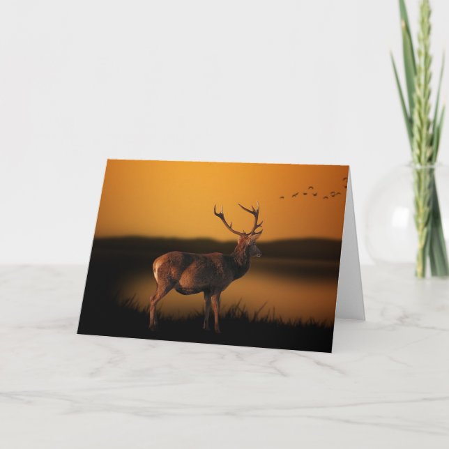 Deer Blank Card (Front)
