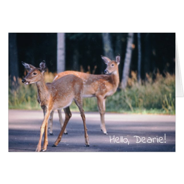 Deer, Bonjour Dearie (Devant Horizontal)