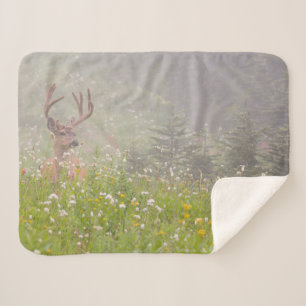 Deer Buck Mount Rainier National Park Sherpa Blanket