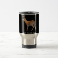 Deer (Buck) White-Tailed