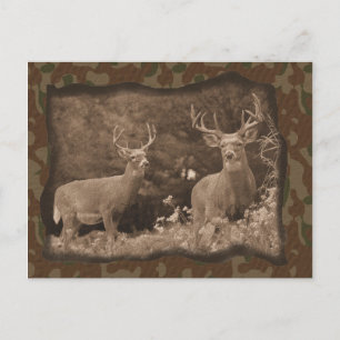 Deer Camo Postcard