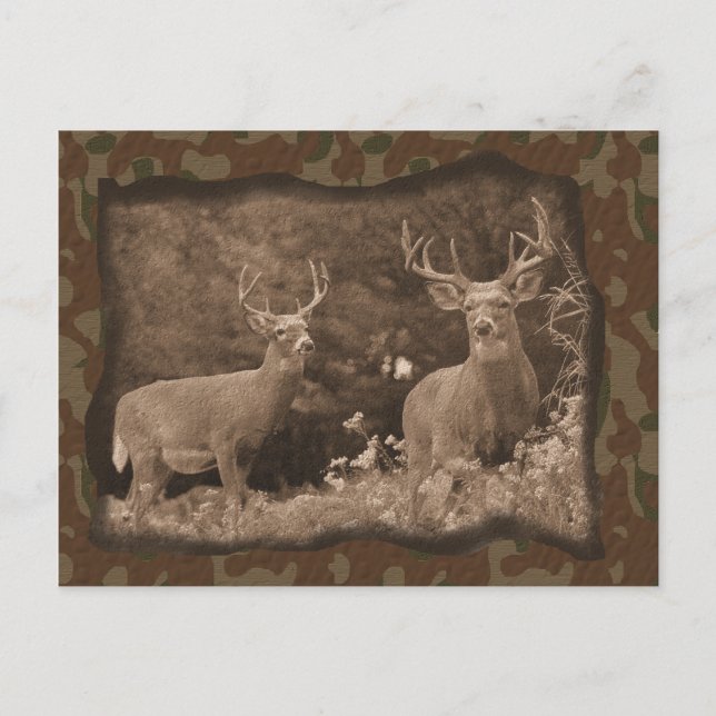 Deer Camo Postcard (Front)