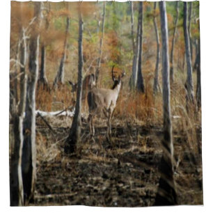 DEER CAMP SHOWER CURTAIN
