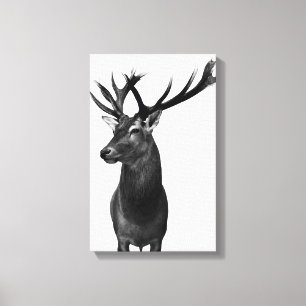 deer canvas print