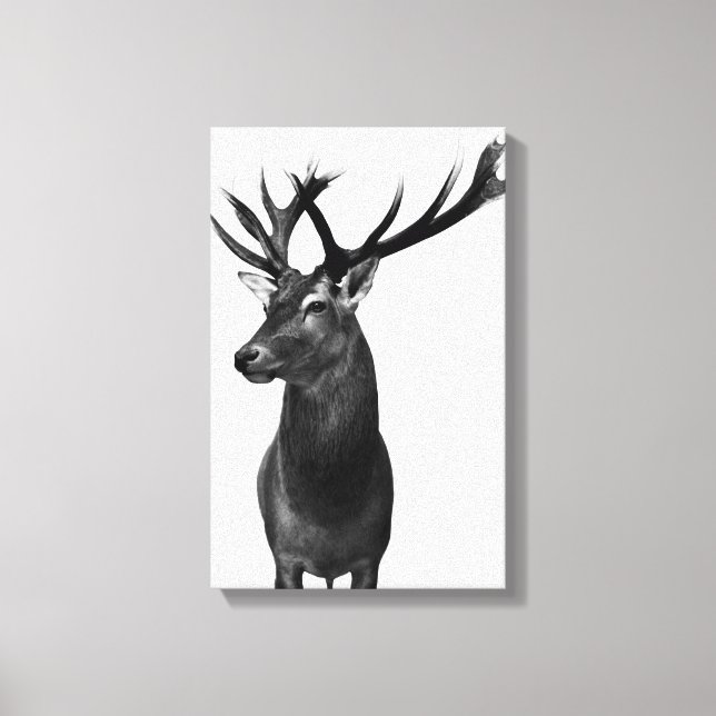 deer canvas print (Front)