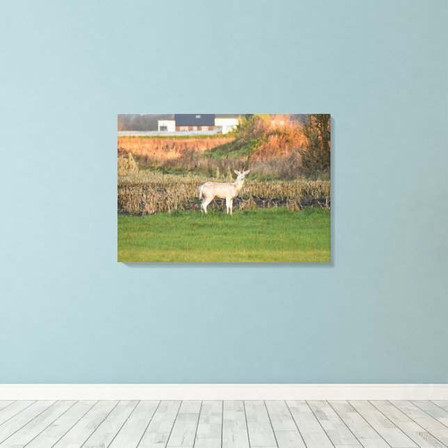 Deer  canvas print (Insitu(Wood Floor))