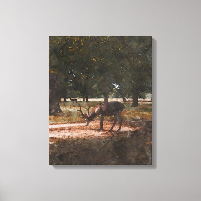 Deer Canvas Print (Front)