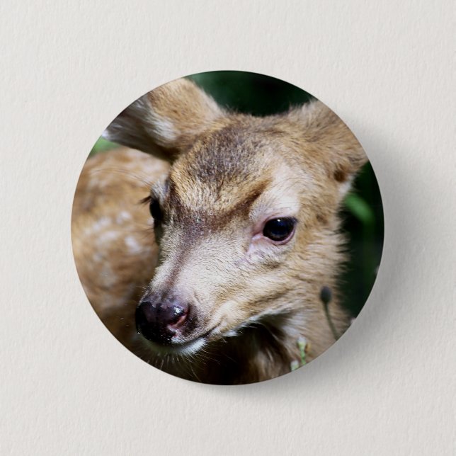 Deer Closeup 2 Inch Round Button (Front)