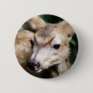 Deer Closeup 2 Inch Round Button