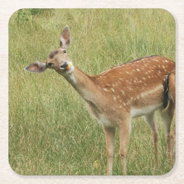 Deer Coaster (Front)
