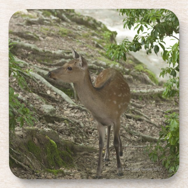 Deer Coaster (Front)