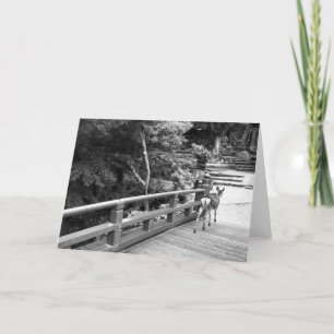 Deer crossing Japanese bridge on Miyajima Card